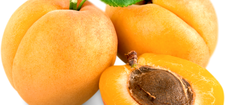 Apricot vit